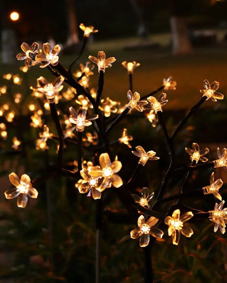 Zonne-energie Padverlichting — Bloemlampjes
