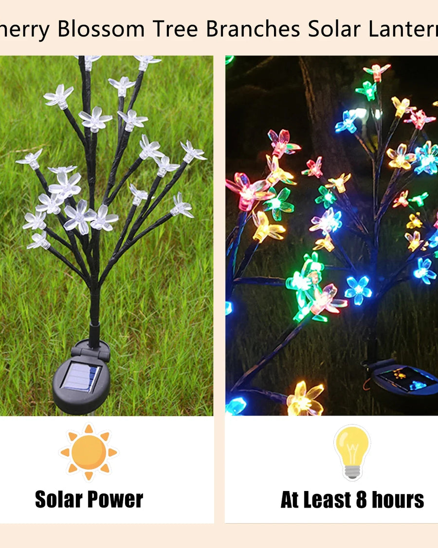 Zonne-energie Padverlichting — Bloemlampjes