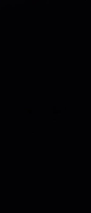 S5da5f290a6a7495381a7fb4a3036ba70v.jpg